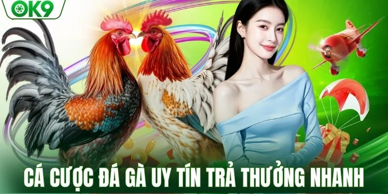 Cá cược đá gà uy tín trả thưởng nhanh