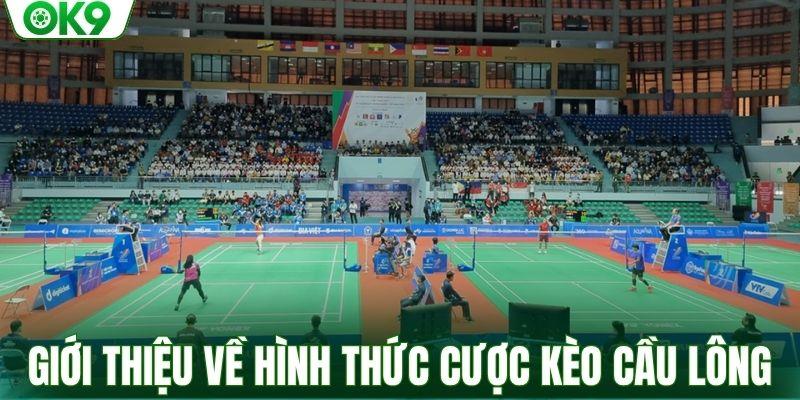 Giới thiệu về hình thức cược kèo cầu lông